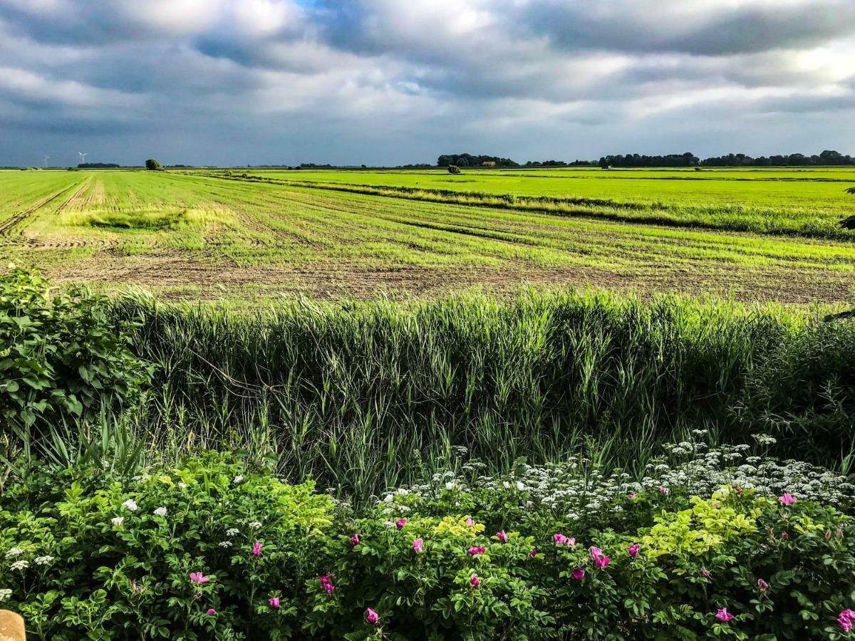 Gartenhaus Frieda Galmsbull Dış mekan fotoğraf