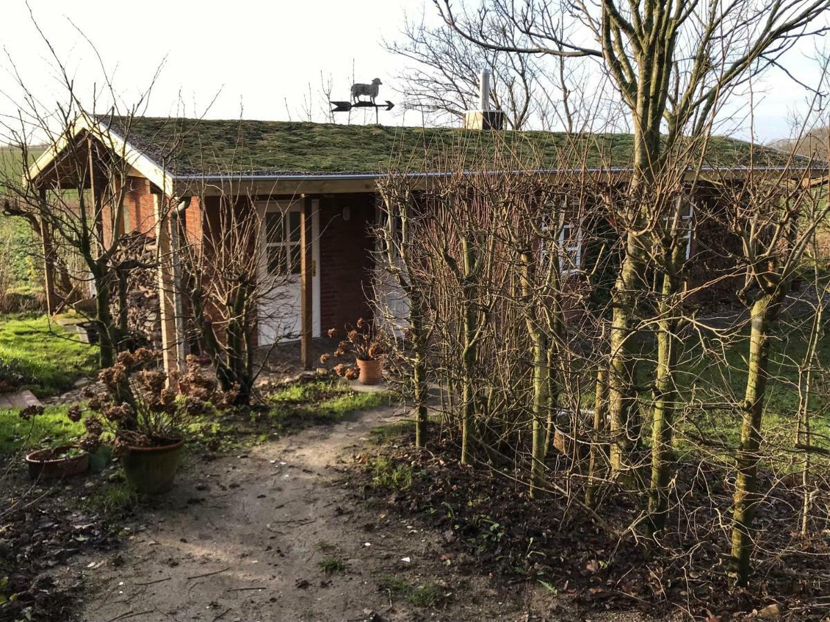 Gartenhaus Frieda Galmsbull Dış mekan fotoğraf