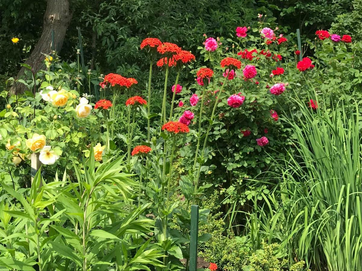 Gartenhaus Frieda Galmsbull Dış mekan fotoğraf