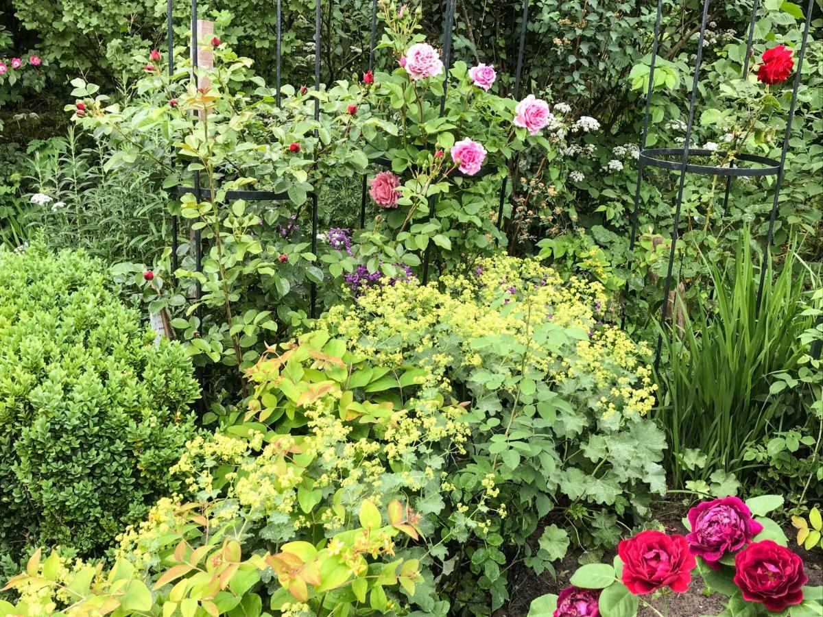 Gartenhaus Frieda Galmsbull Dış mekan fotoğraf